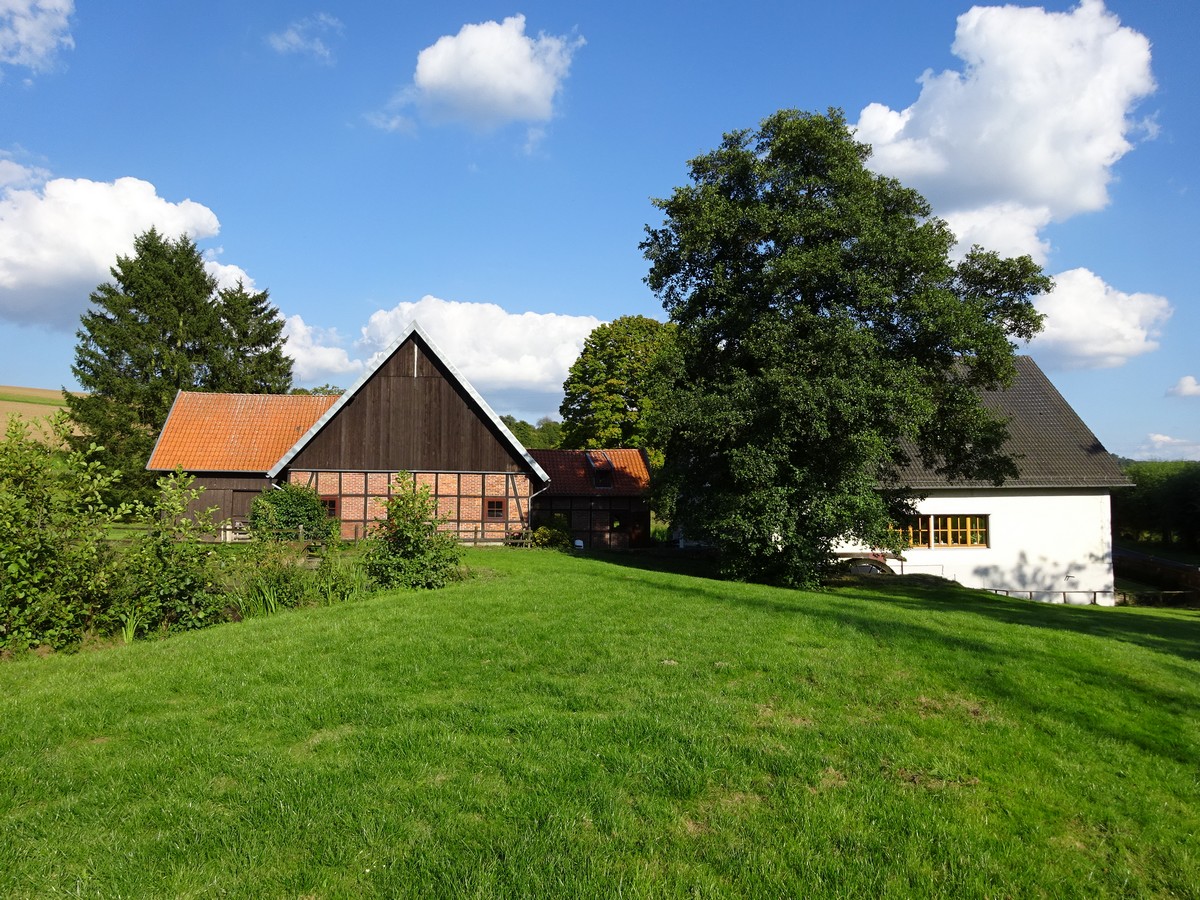 oldentruper_mühle_micus_2015-0002_1.JPG